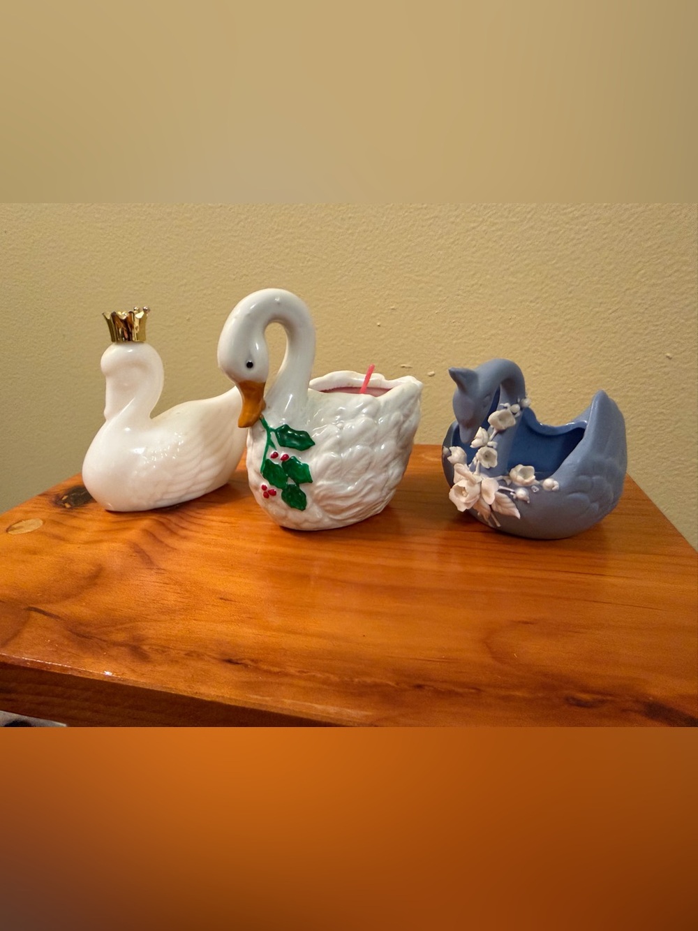 Swan / goose lot